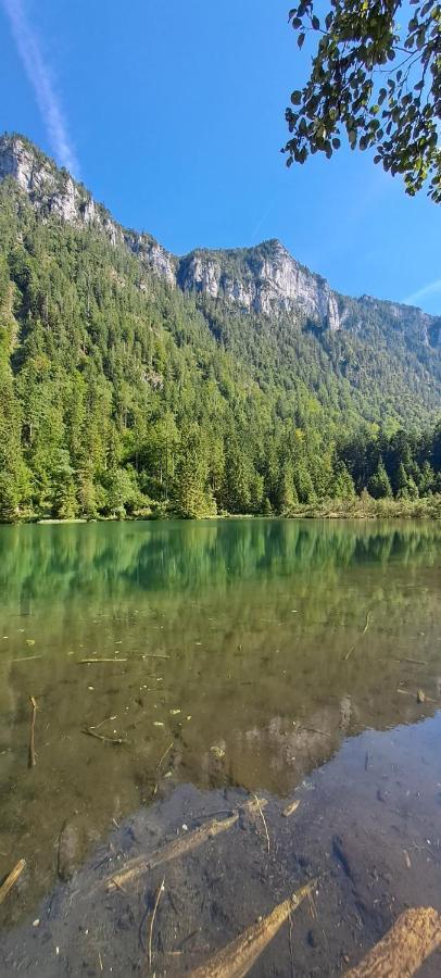 Apartamento Laerche 2 - Chiemgaukarte Inklusive- Inzell Exterior foto