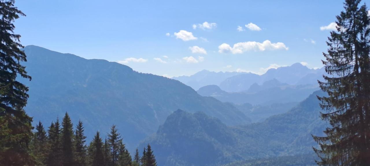 Apartamento Laerche 2 - Chiemgaukarte Inklusive- Inzell Exterior foto